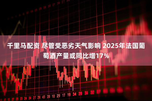 千里马配资 尽管受恶劣天气影响 2025年法国葡萄酒产量或同比增17%