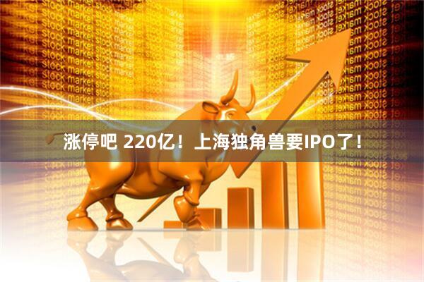 涨停吧 220亿!上海独角兽要IPO了!